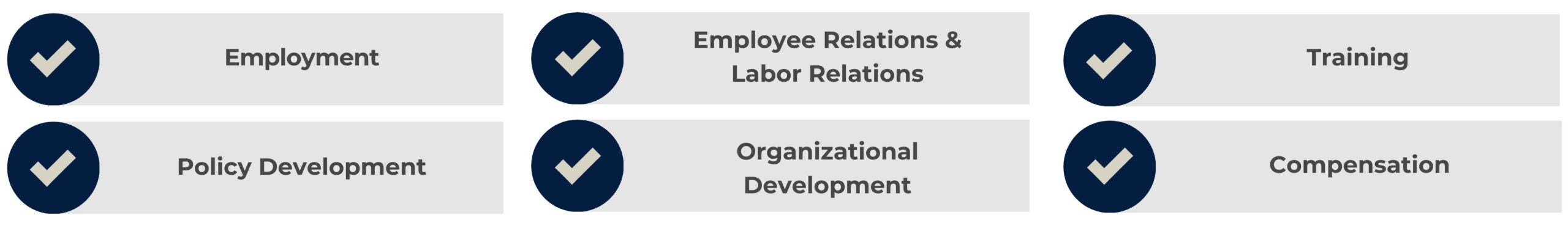 Chart showing our services; details follow in table. Services cover a broad range of functions, including: Employment, Policy Development, Employee Relations & Labor Relations, Organizational Development, Training, and Compensation.