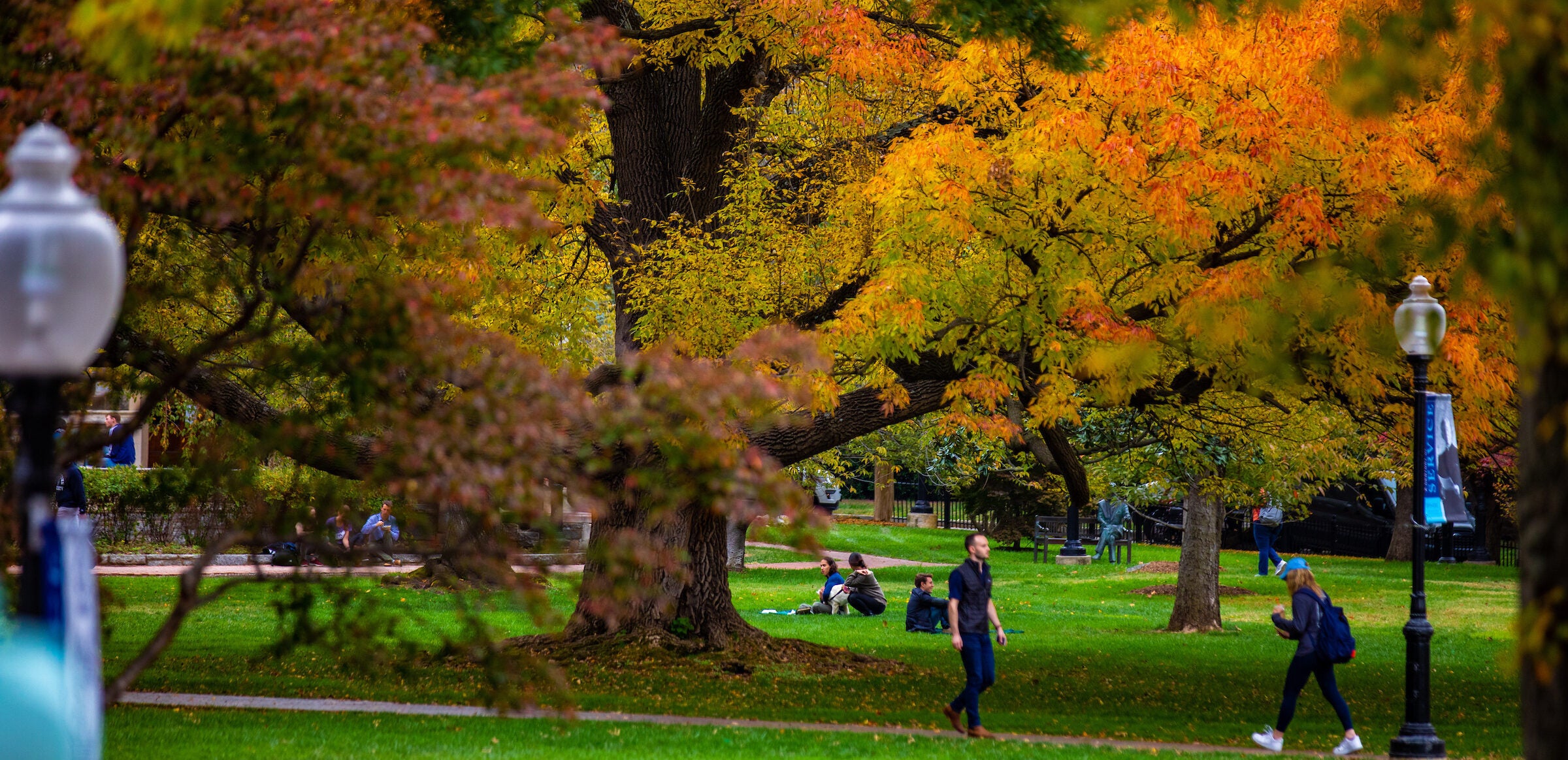 Fall leaves on Main Campus.